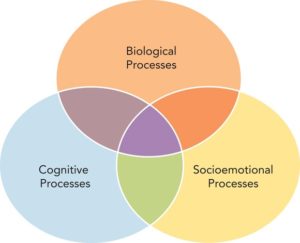 Human 2025 cognitive development