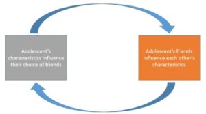 Study finds people flock, or behave similarly to others, despite reasoning  abilities