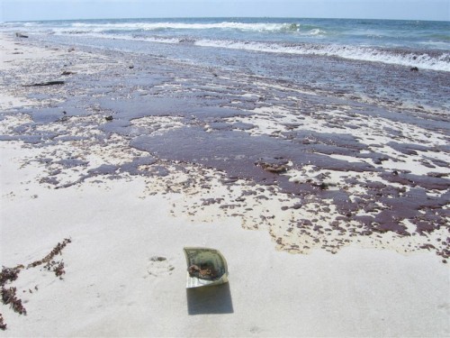 Oil spilled on a beach is shown here.