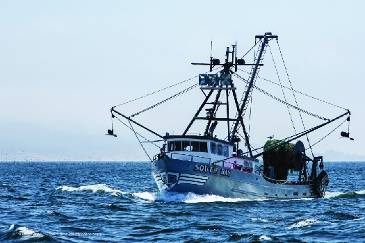 An image of a commercial fishing boat with several nets and a tall mast. The boat is floating on the surface of a large body of water.