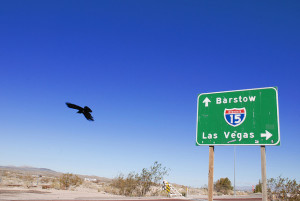 Photo of a road sign for Interstate 15, with Barstow ahead and Las Vegas to the right.  The horizon is low, in the desert with scrub.  Most of the image is of a rich blue sky, with a black crow flying near the road sign.