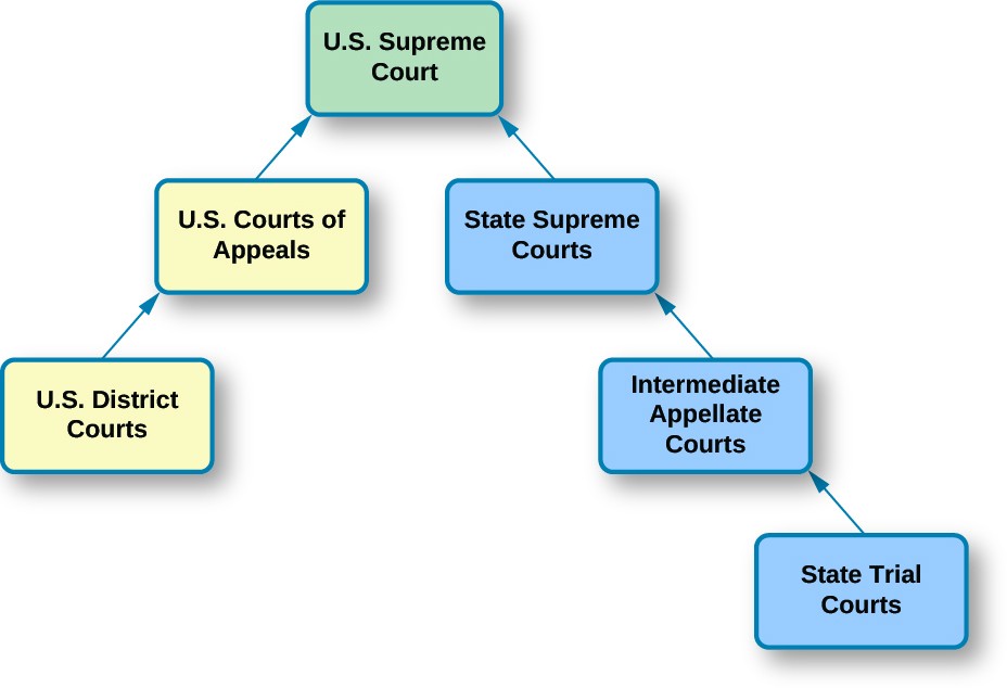 A chart that demonstrates the structure of the dual court system. At the top of the chart is a box labeled