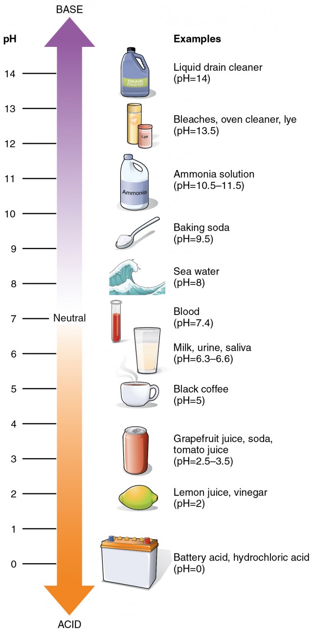 inorganic-compounds-essential-to-human-functioning-anatomy-and