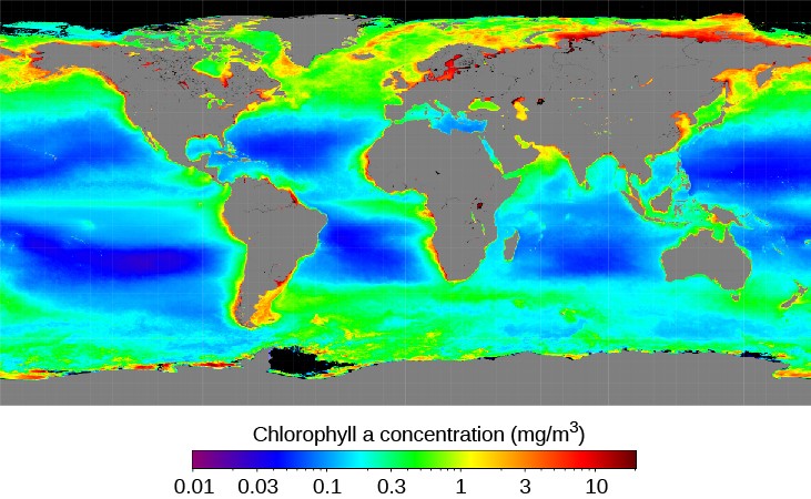 Chlorophyll Abundance. This whole-Earth map plots the distribution of chlorophyll in the oceans. The concentration is highest near the shorelines of the continents, especially in the northern hemisphere, and lowest in the mid-ocean regions. The color scale at bottom is labeled: