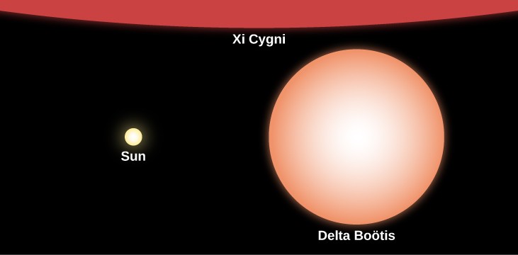 Relative Sizes of Stars Compared to the Sun. In this illustration the Sun is represented at center-left with a yellow disk labeled 