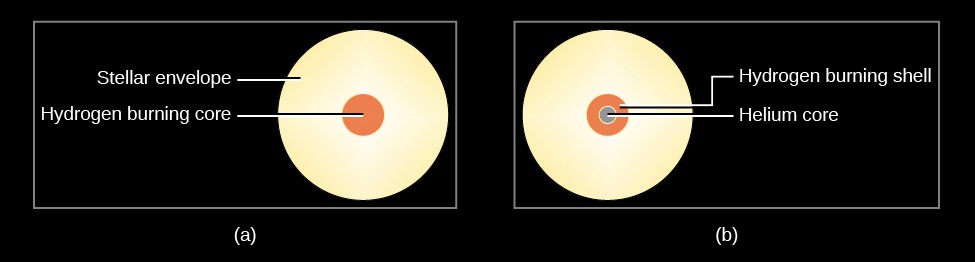 Stellar Structure During and After the Main Sequence. In (a), on the left, the 