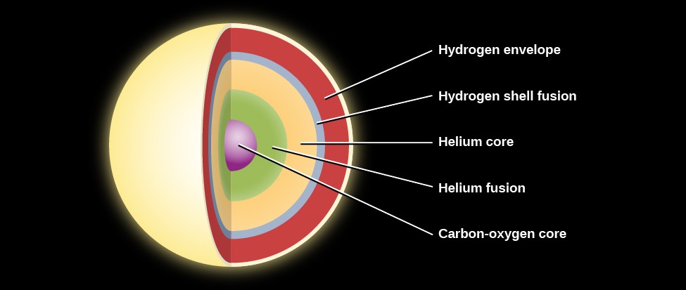 Layers inside a Low-mass Star before Death. The layers within the core are shown as concentric circles of various colors. Starting at the center are: 