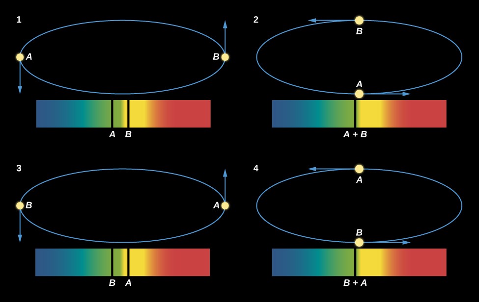 Motions of Two Stars Orbiting Each Other and What the Spectrum Shows. This figure has four binary star spectra, each with blue wavelengths on the left and red wavelengths on the right. Above each spectrum is a diagram showing the orbit of the two binary stars. Spectrum 1 has two spectral lines, one from each star. The lines for star B is roughly in the center of the spectrum, and the line for star A is a little to the left. The orbit shows the stars at opposite sides horizontally, with an arrow pointing down from star A and an arrow pointing up from star B, indicating that the stars are moving horizontally to our line of sight. In spectrum 2, both lines merge into one and the line is labeled 