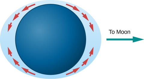 Tidal Bulges. In this illustration, the Earth is drawn as a dark blue disk within a light blue ellipse representing the oceans. The perimeter of the ellipse comes closest to the Earth’s surface at the poles and is furthest away at the equator. Red arrows are drawn showing the flow of water from the poles to the equatorial bulges. An arrow points from the right-hand bulge toward the right and is labeled 