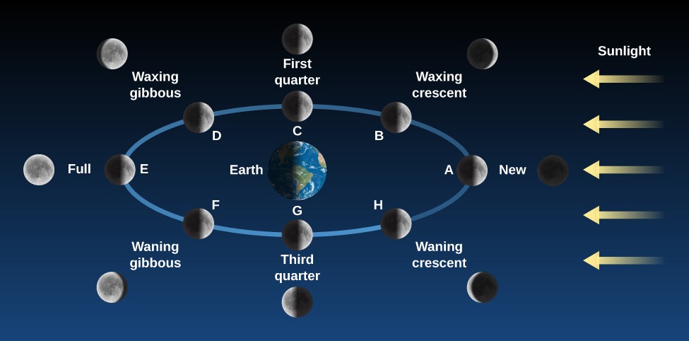 Phases of the Moon. The Earth is drawn as the center of a blue ellipse representing the Moon’s orbit. At right, yellow arrows labeled 