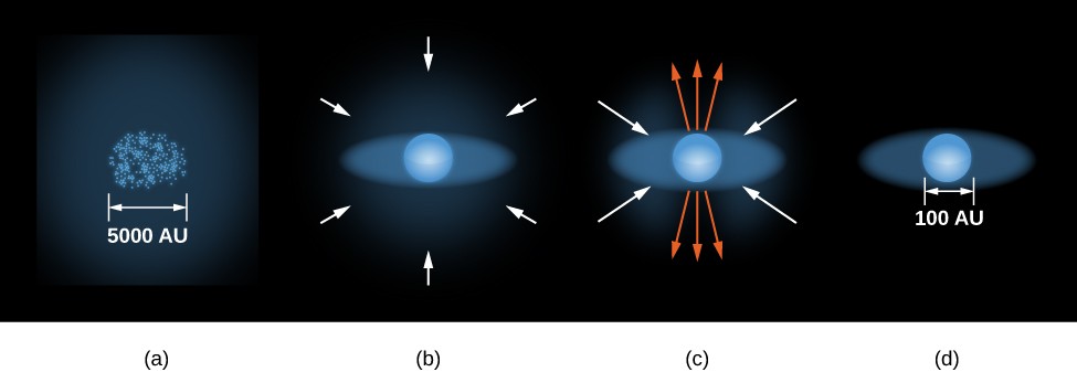 Illustration of the Formation of a Star. Part a, on the far left, shows a roughly spherical region containing many clumps of gas and dust. A scale is given to this region and is labeled 5000 AU. To the right is part b, showing one of these clumps as a sphere embedded in a faint disk of material. Arrows surround the sphere and disk, all pointing toward the center of the sphere, indicating inflow of material. Further to the right is part c, showing the same sphere and disk. Arrows are drawn pointing toward the disk to indicate inflow, and arrows perpendicular to the disk and pointing away from the poles of the sphere, indicating outflow of material. Finally, at far right, is part d, again showing a sphere embedded in a disk. No arrows are drawn. A scale is given for part d, and is labeled 100 AU.