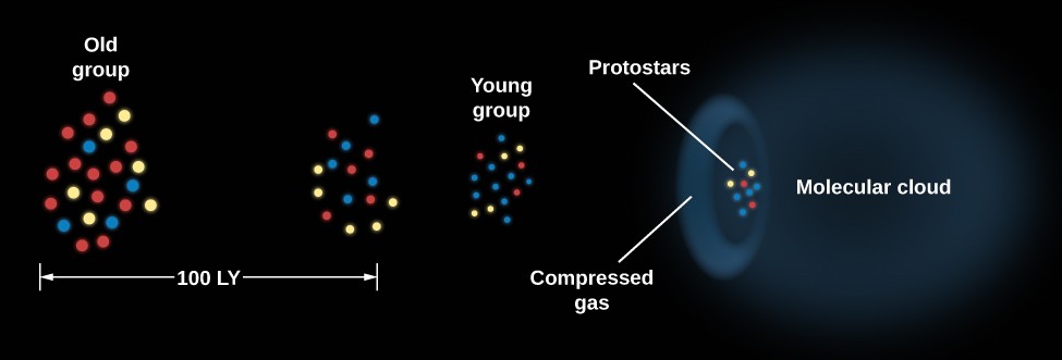 Diagram of Propagating Star Formation. At left are depicted two old groups of stars. Below these groups a distance scale of 100 light years is shown. At the center of the diagram is a smaller, tighter grouping of young stars. To the right of the young group is an arc of compressed gas and an even tighter grouping of protostars within the arc. On the extreme right of the diagram adjacent to the protostars, a dark molecular cloud is portrayed.