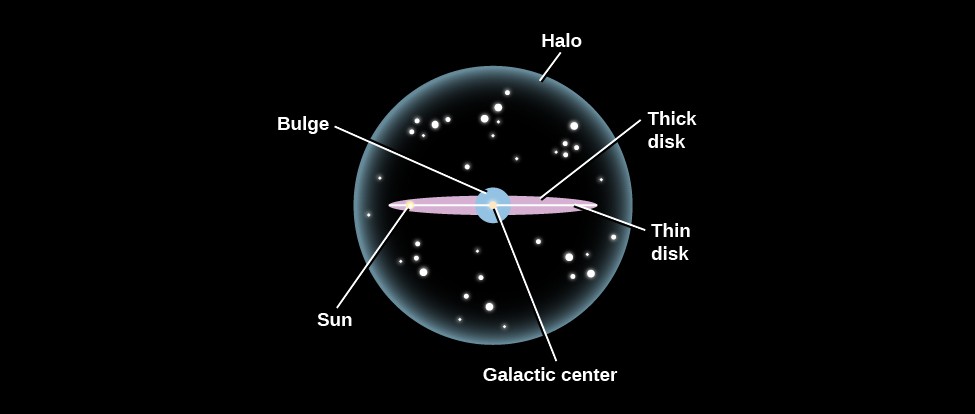 Schematic of the Milky Way. Our galaxy is seen edge-on in this illustration, with the major components labeled. At the center of the diagram is the 
