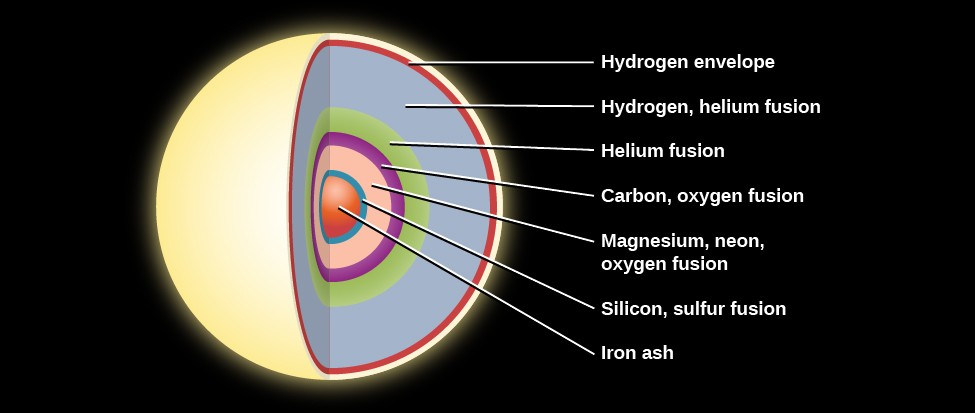 Interior Structure of a Massive Star before the End of its Life. The onion like layers of a massive star are illustrated as follows: the outermost layer is composed of hydrogen, followed by another hydrogen layer, a helium layer, an oxygen layer, a neon layer, a magnesium layer, a silicon layer, and culminating in a core of iron 