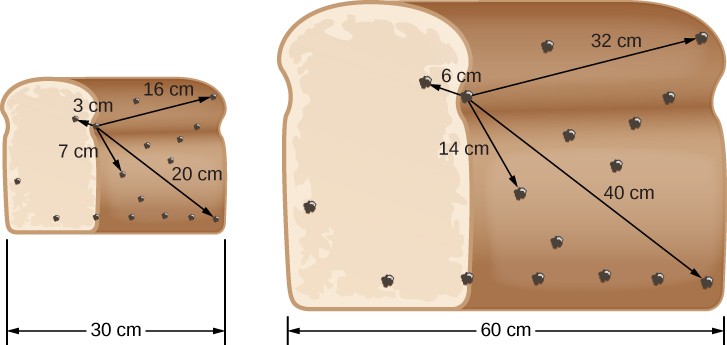 Expanding Raisin Bread. In this illustration, the loaf of raisin bread at left is 30 cm wide. Arrows are drawn from a 
