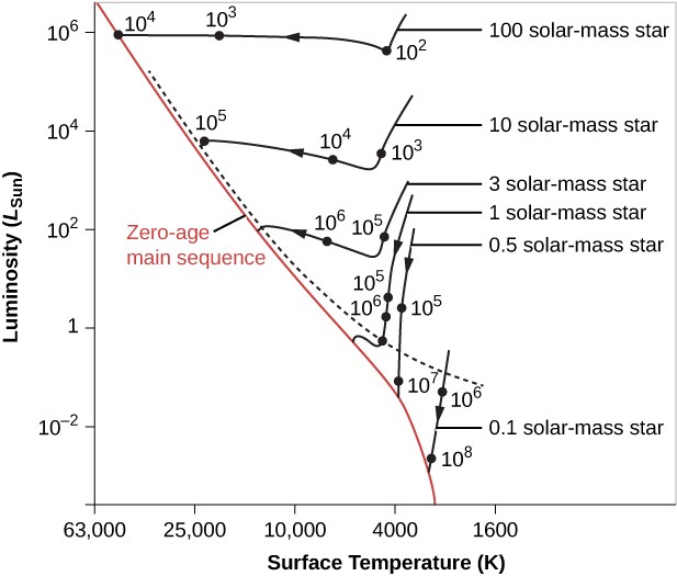 An H-R Diagram of the Evolutionary Tracks for Contracting Protostars. The vertical scale is labeled