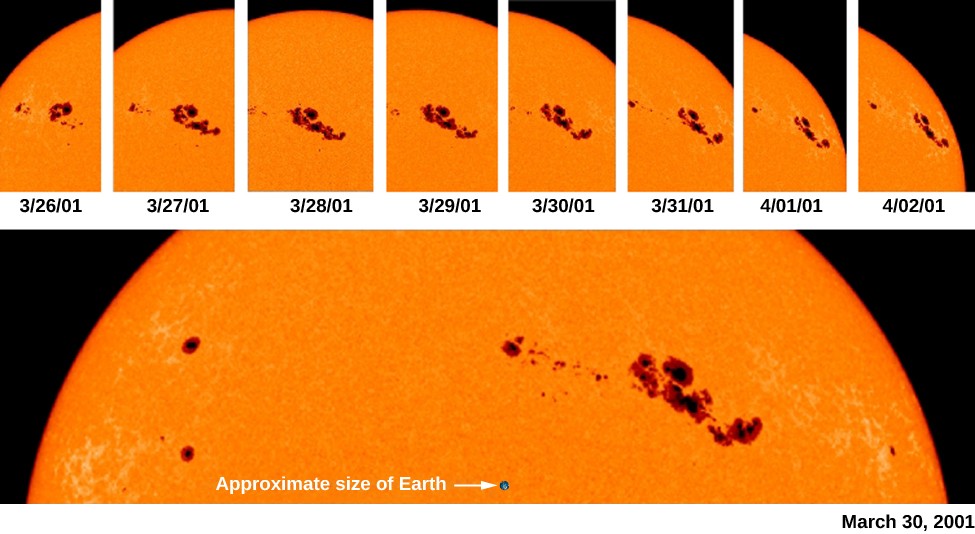 An image of the rotation of sunspots across the sun’s surface. A series of images at the top shows the movement of sunspots over time. A enlarged view of the top portion of the sun is shown at bottom, with a black dot labeled 
