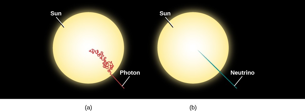 Diagram of Photon and Neutrino Paths in the Sun. At left, (a) shows the Sun as a yellow disk. Starting at the center of the Sun, the path of a photon is drawn in red and labeled 