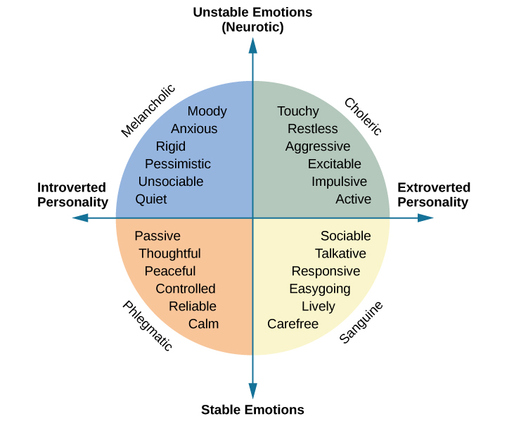 Explaining Personality: Biological Approaches and Trait Theories