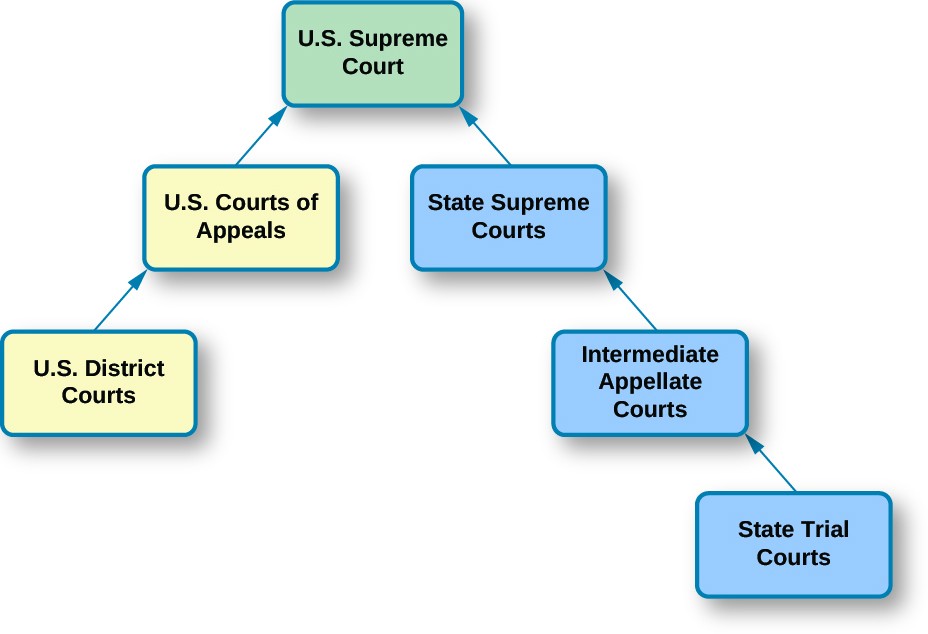 A chart that demonstrates the structure of the dual court system. At the top of the chart is a box labeled 