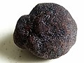 A black truffle. 