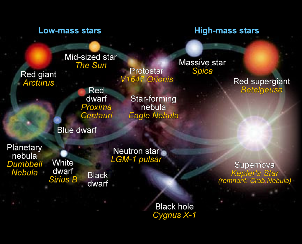 What 3 Life Cycle Stages Do All Stars Go Through