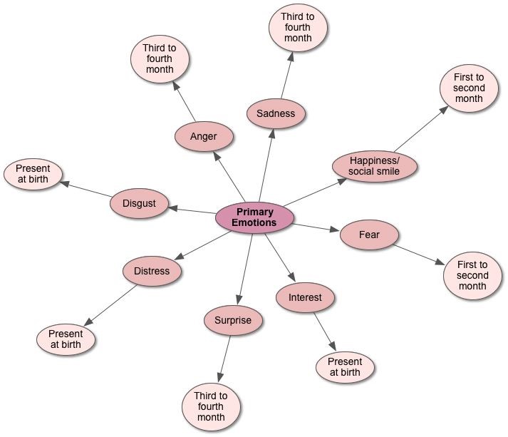 Emotions and Their Development and Regulation Child and