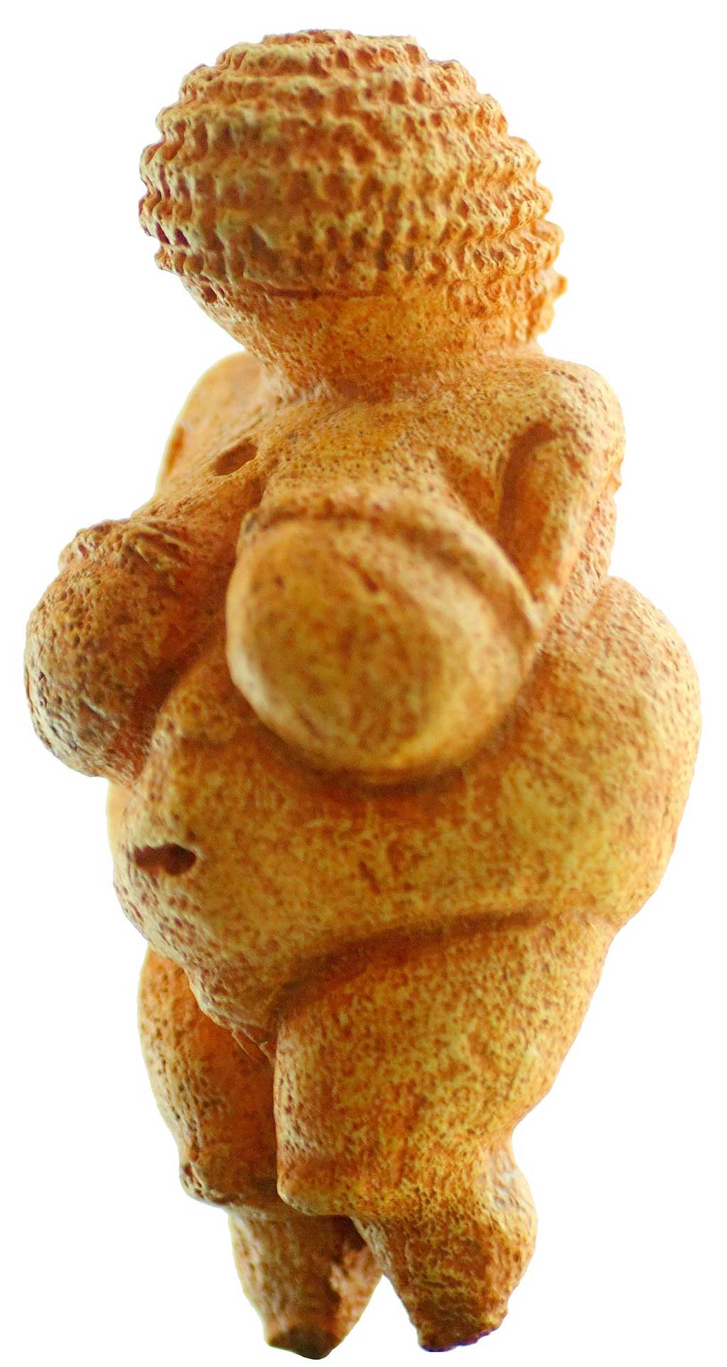Image of the Venus of Willendorf. The ochre stained statuette included an accentuated bust and pronounced belly to emphasize her heightened fertility. While she is faceless, the carver of the Venus has etched woven hair into the statue.