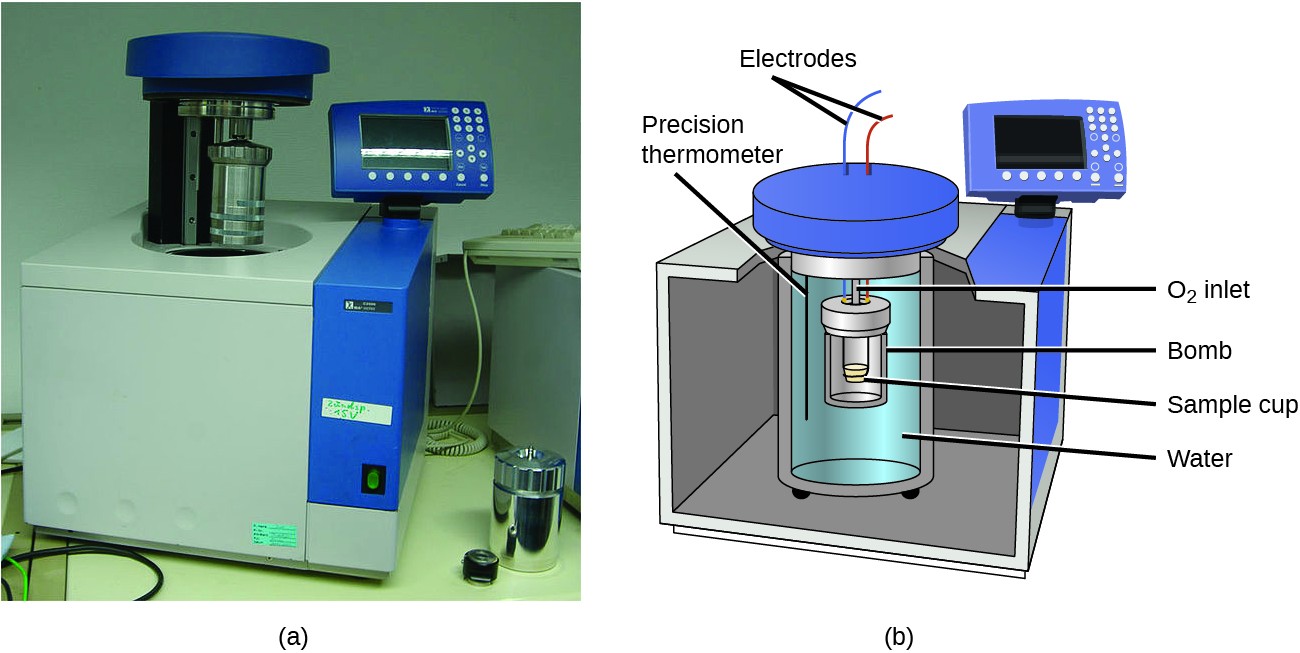 A picture and a diagram are shown, labeled a and b, respectively. Picture a depicts a bomb calorimeter. It is a cube-shaped machine with a cavity in the top, a metal cylinder that is above the cavity, and a read-out panel attached to the top-right side. Diagram b depicts a cut away figure of a cube with a cylindrical container full of water in the middle of it. Another container, labeled “bomb,” sits inside of a smaller cylinder which holds a sample cup and is nested in the cylindrical container surrounded by the water. A black line extends into the water and is labeled “Precision thermometer.” Two wires labeled “Electrodes” extend away from a cover that sits on top of the interior container. A read-out panel is located at the top right of the cube.