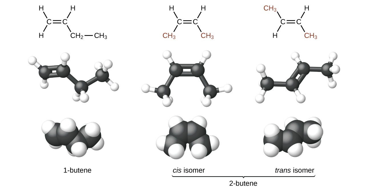 The figure illustrates three ways to represent isomers of butene. In the first row of the figure, Lewis structural formulas show carbon and hydrogen element symbols and bonds between the atoms. The first structure in this row shows a C atom with a double bond to another C atom which is bonded down and to the right to C H subscript 2 which, in turn, is bonded to C H subscript 3. The first C atom, moving from left to right, has two H atoms bonded to it and the second C atom has one H atom bonded to it. The second structure in the row shows a C atom with a double bond to another C atom. The first C atom is bonded to an H atom up and to the left and C H subscript 3 down and to the left. The second C atom is bonded to an H atom up and to the right and C H subscript 3 down and to the right. Both C H subscript 3 structures appear in red. The third structure shows a C atom with a double bond to another C atom. The first C atom from the left is bonded up to a the left to C H subscript 3 which appears and red. It is also bonded down and to the left to an H atom. The second C atom is bonded up and to the right to an H atom and down and to the left to C H subscript 3 which appears in red. In the second row, ball-and-stick models for the structures are shown. In these representations, single bonds are represented with sticks, double bonds are represented with two parallel sticks, and elements are represented with balls. C atoms are black and H atoms are white in this image. In the third row, space-filling models are shown. In these models, atoms are enlarged and pushed together, without sticks to represent bonds. In the final row, names are provided. The molecule with the double bond between the first and second carbons is named 1 dash butene. The two molecules with the double bond between the second and third carbon atoms is called 2 dash butene. The first model, which has both C H subscript 3 groups beneath the double bond is called the cis isomer. The second which has the C H subscript 3 groups on opposite sides of the double bond is named the trans isomer.