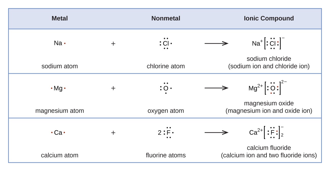 A table is shown with four rows. The header row reads “Metal,” “Nonmetal,” and “Ionic Compound.” The second row shows the Lewis structures of a reaction. A sodium symbol with one dot, a plus sign, and a chlorine symbol with seven dots lie to the left of a right-facing arrow. To the right of the arrow a sodium symbol with a superscripted plus sign is drawn next to a chlorine symbol with eight dots surrounded by brackets with a superscripted negative sign. One of the dots on the C l atom is red. The terms “sodium atom,” “chlorine atom,” and “sodium chloride ( sodium ion and chloride ion )” are written under the reaction. The third row shows the Lewis structures of a reaction. A magnesium symbol with two red dots, a plus sign, and an oxygen symbol with six dots lie to the left of a right-facing arrow. To the right of the arrow a magnesium symbol with a superscripted two and a plus sign is drawn next to an oxygen symbol with eight dots, two of which are red, surrounded by brackets with a superscripted two a and a negative sign. The terms “magnesium atom,” “oxygen atom,” and “magnesium oxide ( magnesium ion and oxide ion )” are written under the reaction. The fourth row shows the Lewis structures of a reaction. A calcium symbol with two red dots, a plus sign, and a fluorine symbol with a coefficient of two and seven dots lie to the left of a right-facing arrow. To the right of the arrow a calcium symbol with a superscripted two and a plus sign is drawn next to a fluorine symbol with eight dots, one of which is red, surrounded by brackets with a superscripted negative sign and a subscripted two. The terms “calcium atom,” “fluorine atoms,” and “calcium fluoride ( calcium ion and two fluoride ions )” are written under the reaction.