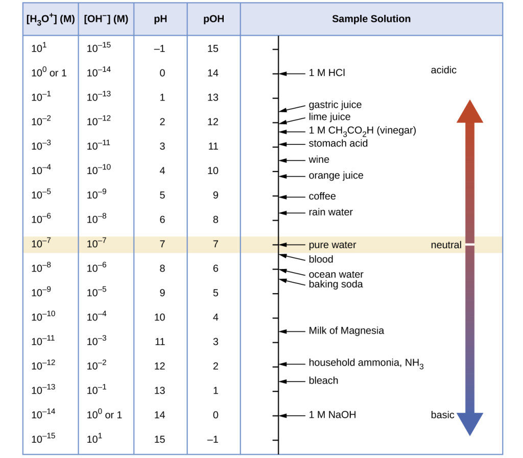 A table is provided with 5 columns. The first column is labeled “left bracket H subscript 3 O superscript plus right bracket (M).” Powers of ten are listed in the column beginning at 10 superscript 1, including 10 superscript 0 or 1, 10 superscript negative 1, decreasing by single powers of 10 to 10 superscript negative 15. The second column is labeled “left bracket O H superscript negative right bracket (M).” Powers of ten are listed in the column beginning at 10 superscript negative 15, increasing by single powers of 10 to including 10 superscript 0 or 1, and 10 superscript 1. The third column is labeled “p H.” Values listed in this column are integers beginning at negative 1, increasing by ones up to 14. The fourth column is labeled “p O H.” Values in this column are integers beginning at 15, decreasing by ones up to negative 1. The fifth column is labeled “Sample Solution.” A vertical line at the left of the column has tick marks corresponding to each p H level in the table. Substances are listed next to this line segment with line segments connecting them to the line to show approximate p H and p O H values. 1 M H C l is listed at a p H of 0. Gastric juices are listed at a p H of about 1.5. Lime juice is listed at a p H of about 2, followed by 1 M C H subscript 3 C O subscript 2 H, followed by stomach acid at a p H value of nearly 3. Wine is listed around 3.5. Coffee is listed just past 5. Pure water is listed at a p H of 7. Pure blood is just beyond 7. Milk of Magnesia is listed just past a p H of 10.5. Household ammonia is listed just before a pH of 12. 1 M N a O H is listed at a p H of 0. To the right of this labeled arrow is an arrow that points up and down through the height of the column. A beige strip passes through the table and to this double headed arrow at p H 7. To the left of the double headed arrow in this beige strip is the label “neutral.” A narrow beige strip runs through the arrow. Just above and below this region, the arrow is purple. It gradually turns to a bright red as it extends upward. At the top of the arrow, near the head of the arrow is the label “acidic.” Similarly, the lower region changes color from purple to blue moving to the bottom of the column. The head at this end of the arrow is labeled “basic.”