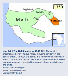 9.4 North Africa's Mediterranean and Trans-Saharan Connections - World  History Volume 1, to 1500