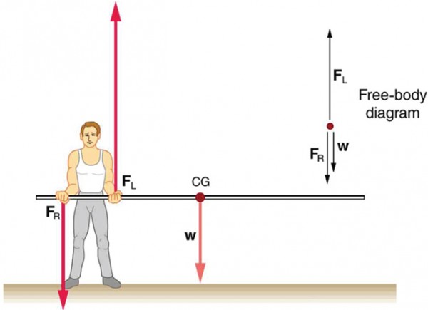 A pole vaulter is standing on the ground holding a pole from one side with his two hands. The centre of gravity of the pole is to the left of the pole vaulter. The weight W is shown as an arrow downward at center of gravity. The reaction F sub R is shown with a vector pointing downward from the man’s right hand and F sub L is shown with a vector in upward direction at the location of the man’s left hand. A free body diagram of the situation is shown on the top right side of the figure.