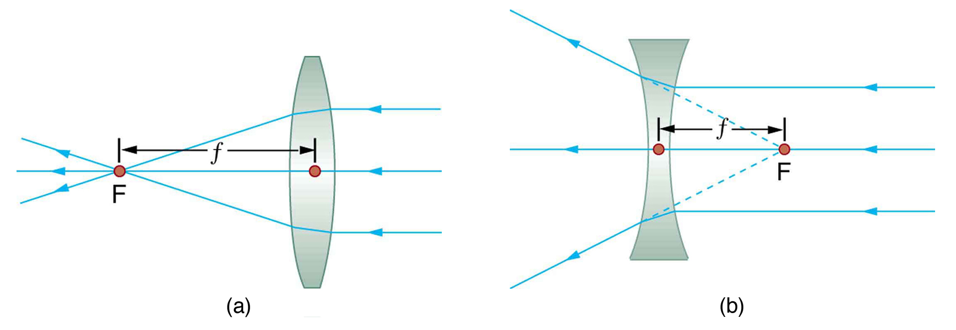 Figure (a) shows three parallel rays incident on the right side of a convex lens; after refraction they converge at F on the left side of the lens. The distance from the center of the lens to F is small f. Figure (b) shows three parallel rays incident on the right side of a concave lens; after refraction they appear to have come from F on the right side of the lens. The distance from the center of the lens to F is small f.