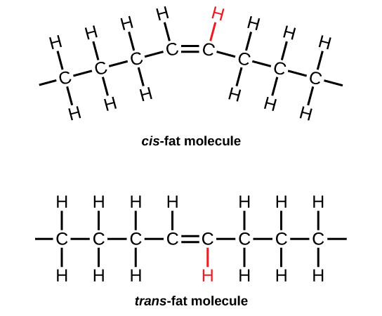 Two images show the molecular structure of a fat in the cis-conformation and the trans-conformation.