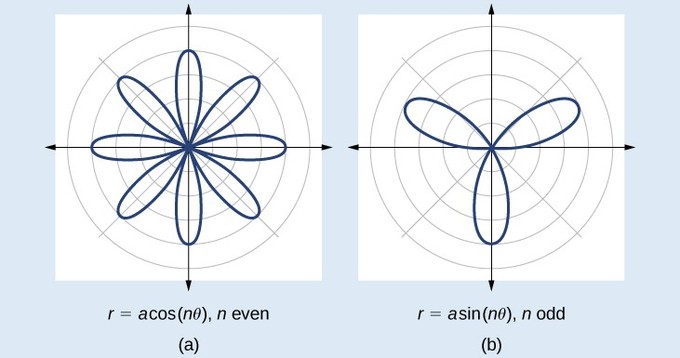For the cosine curve, n is even, and the curve has 8 petals (four centered on each of the axes, and four in between them). The petals all meet at the origin. For the sine curve, n is odd, and the curve has 3 petals; one centered on the negative y axis, and one each in the second and first quadrants. The petals all meet at the origin.