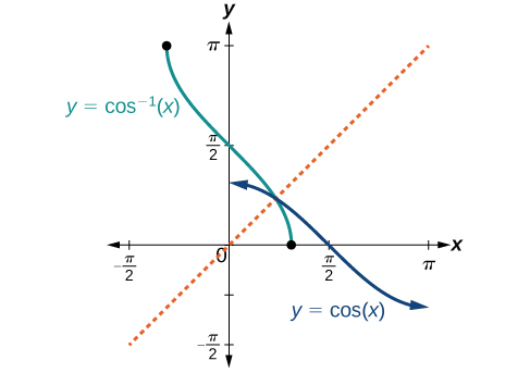 The cosine function decreases from a maximum of 1 to a minimum of -1 from x=0 to pi. The inverse function arccosine decreases from pi at x=-1 (with vertical, decreasing slope) to 0 at x=1. At the end it has vertical slope again; the slope gets shallower from vertical and then steeper to vertical again.
