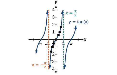 Between sets of vertical asymptotes, the tangent function increases, decreasing in slope and then increasing again similar to a cubic function.