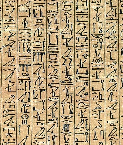 A close-up of the Papyrus of Ani.