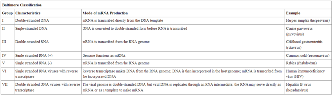 Viral Evolution, Morphology, And Classification | Boundless Biology ...