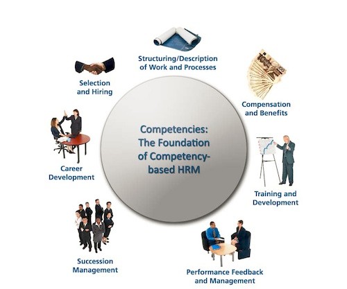 This image is a small chart which highlights a few of the key competencies expected of human resource teams in organizations.