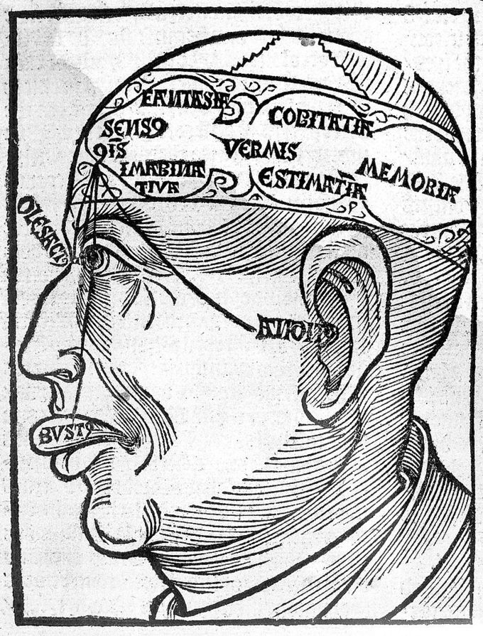 A drawing of a man's head that shows all of the senses - sight, hearing, smell, and taste.