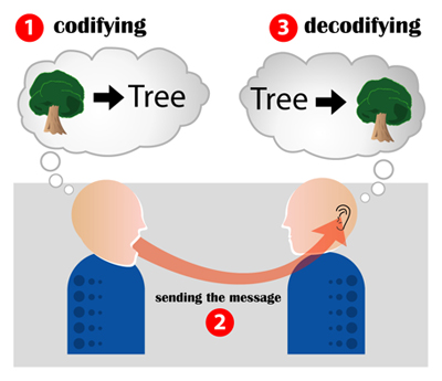 A picture that shows the process of encoding and decoding. The speaker encodes the message (thinks of a tree). When he says 