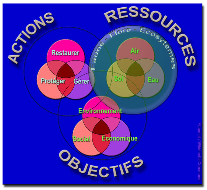 A graphic that uses colors to show the interrelationships between main areas of sustainable development.