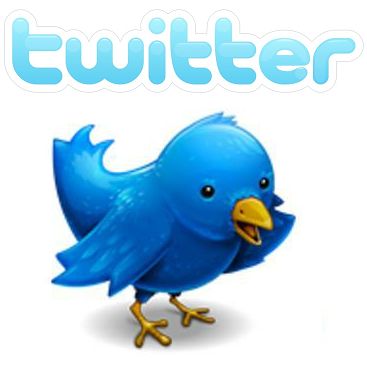 The Twitter logo.