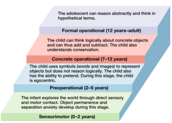 Piaget's stages of cognitive development