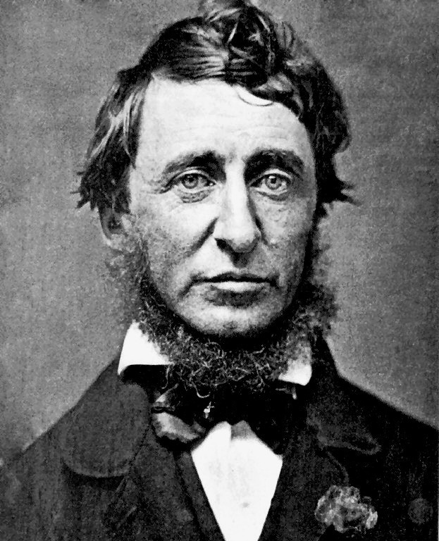 Portrait of Henry David Thoreau