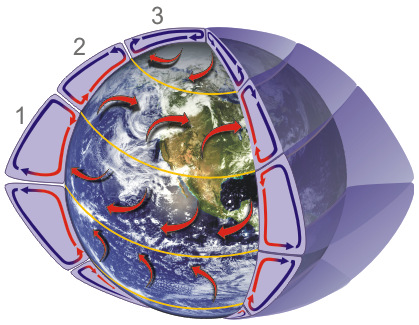 Instead of one large circulation between the poles and the equator, there are three circulations... Hadley cell - Low latitude air movement toward the equator that with heating, rises vertically, with poleward movement in the upper atmosphere. This forms a convection cell that dominates tropical and sub-tropical climates. Ferrel cell - A mid-latitude mean atmospheric circulation cell for weather named by Ferrel in the 19th century. In this cell the air flows poleward and eastward near the surface and equatorward and westward at higher levels. Polar cell - Air rises, diverges, and travels toward the poles. Once over the poles, the air sinks, forming the polar highs. At the surface air diverges outward from the polar highs. Surface winds in the polar cell are easterly (polar easterlies).