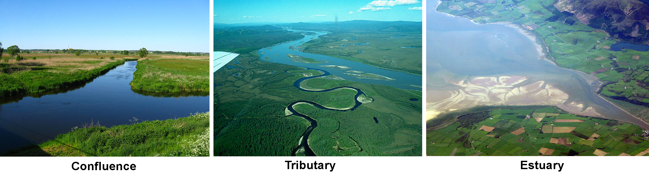 A three part image: a confluence, a tributary, and an estuary.